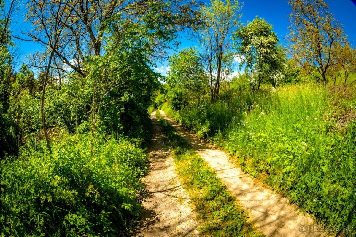 Dudince – 1.150 m2 STAVEBNÝ POZEMOK pre rodinný dom - 14