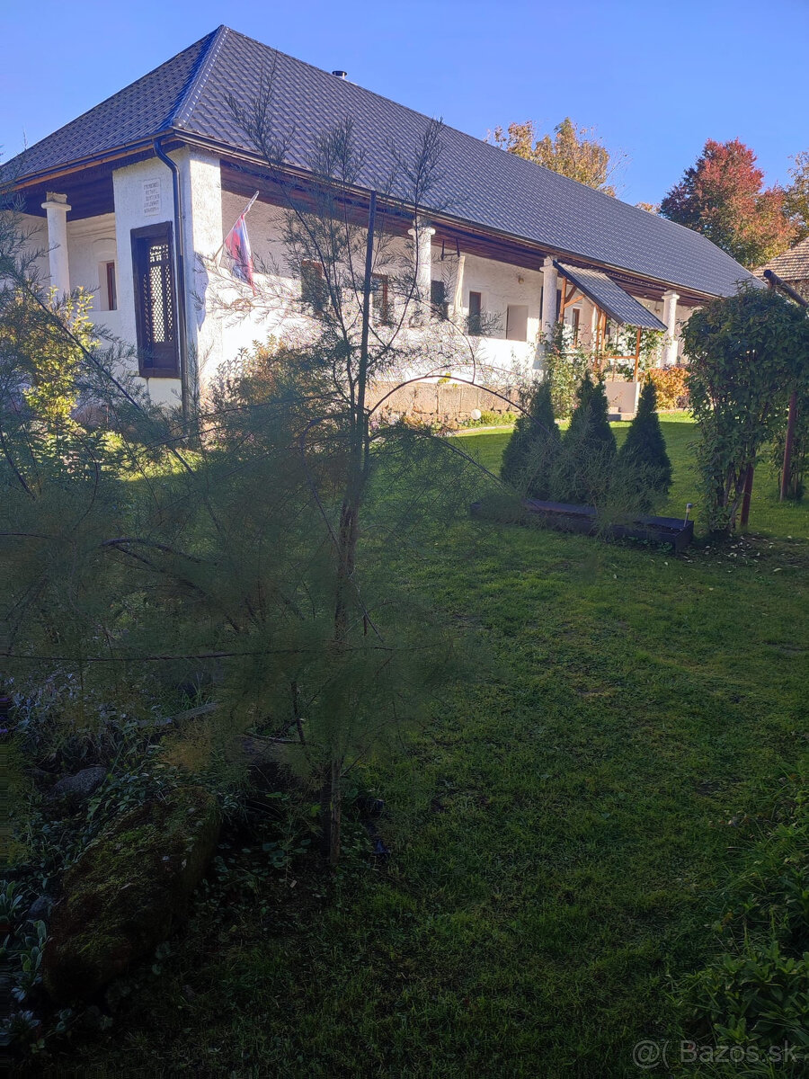 FINREA│Rodinný dom s veľkým pozemkom – Veľký Lom, okres Veľk - 14