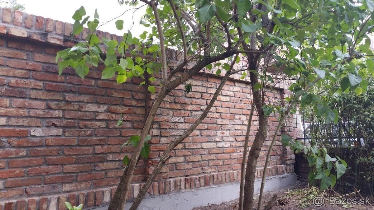 Cenovo dostupné murárske a stavebné práce okres Senica - 14