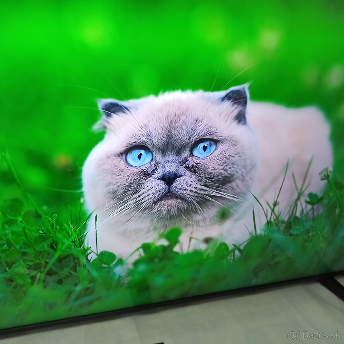 Samsung 4k led lcd tv 50 (127cm) smart - 14