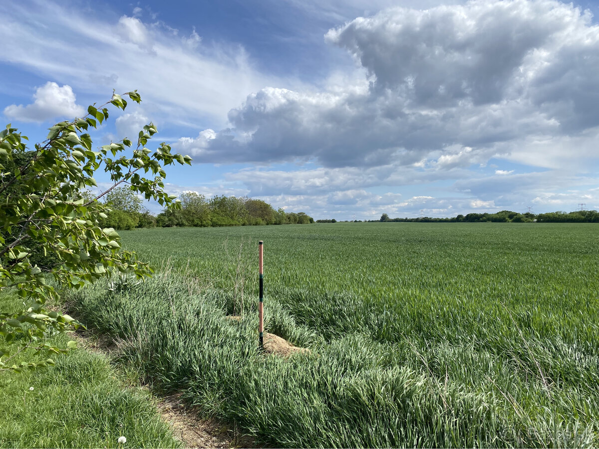 Pozemky v krásnom prostredí v Chorvátskom Grobe za priaznivú - 14