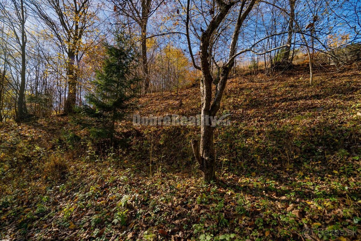 PREDAJ: Tajuplná záhrada s jazierkom a banským potôčikom, 19 - 14