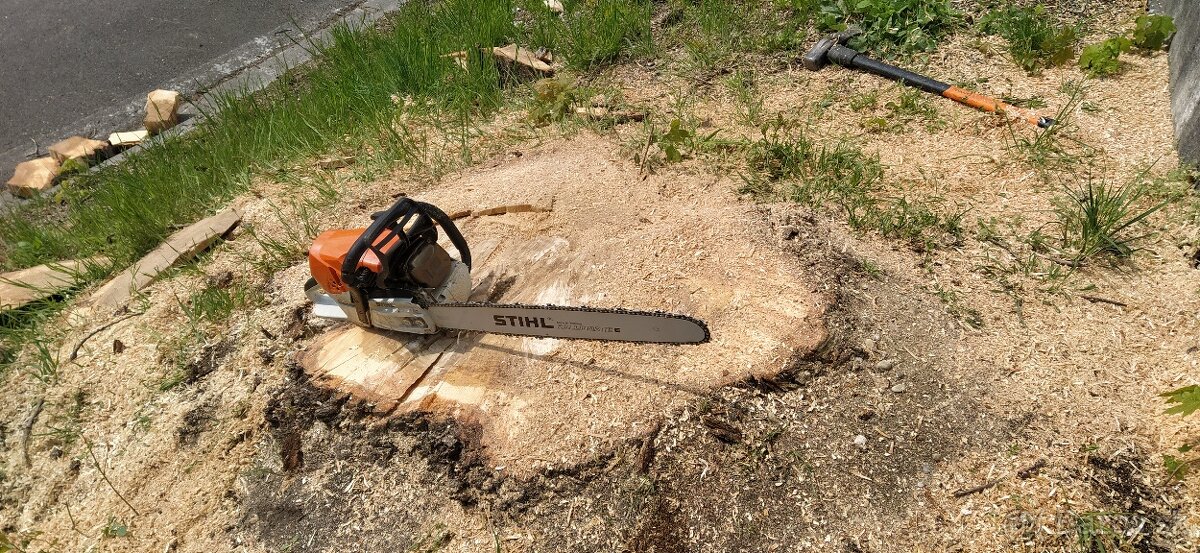 Frézovanie pňov, odstránenie pňov po výrube, arboristika - 14