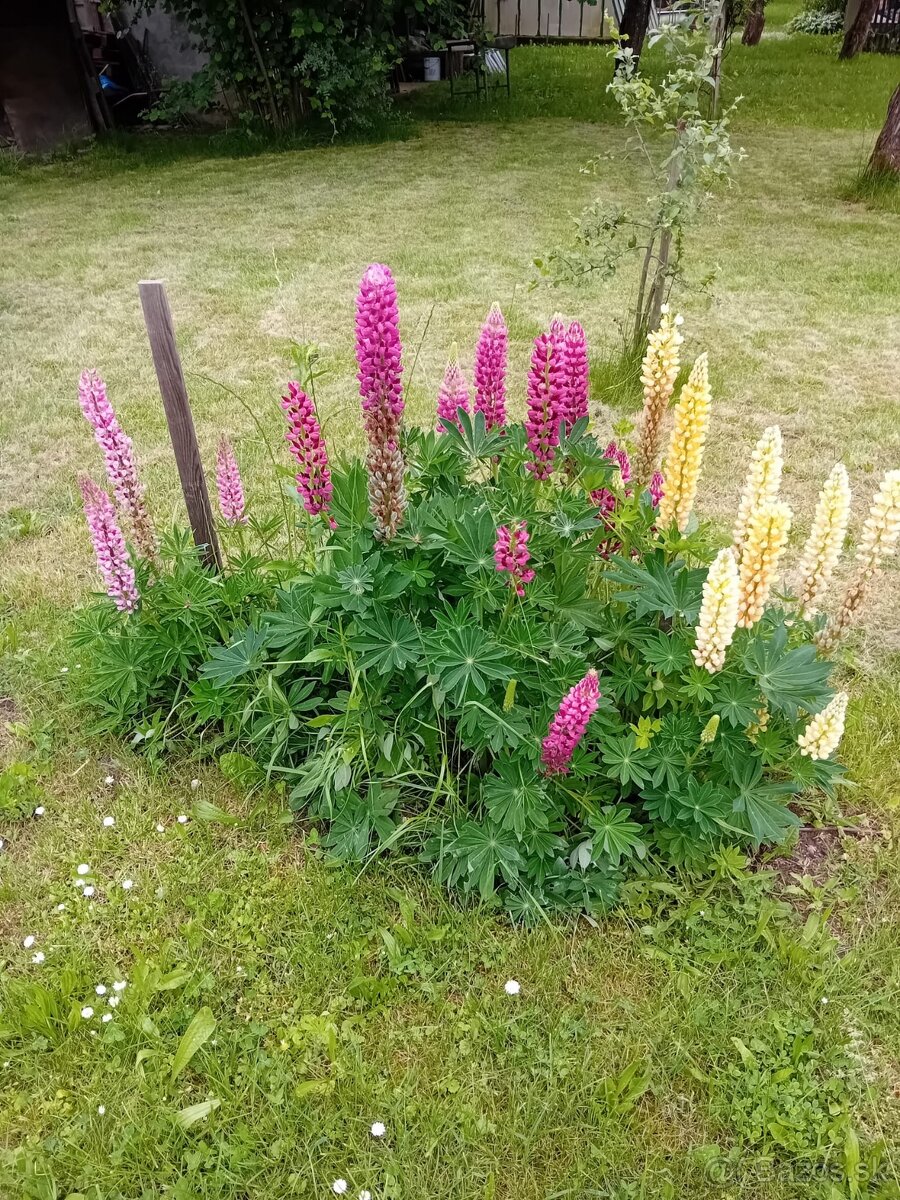 ZÁHRADNÁ CHATKA V LUTILE - 14