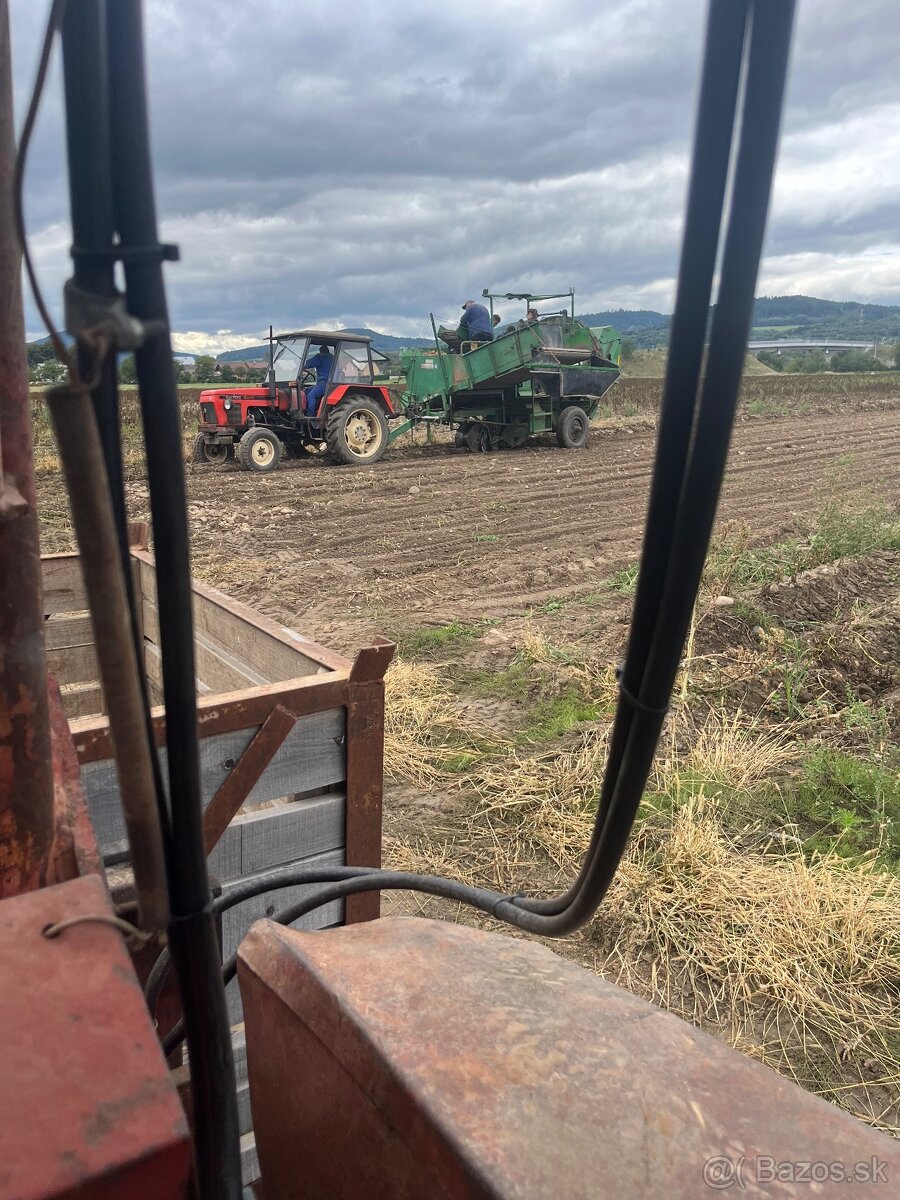 Domáce Zemiaky - 14