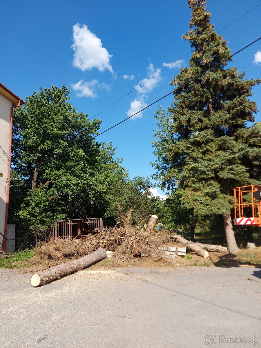 Pílenie a Orezávanie stromov - 14