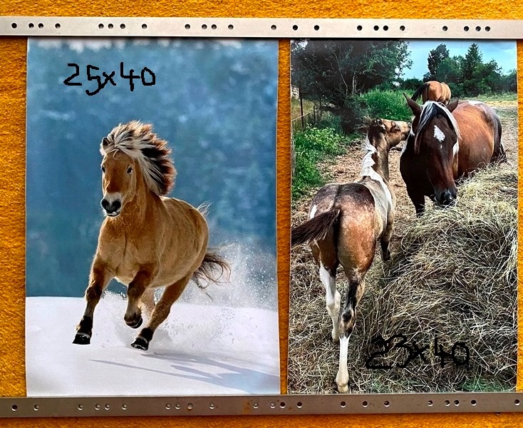 NHL kartičky, tapety koňov,... - 14