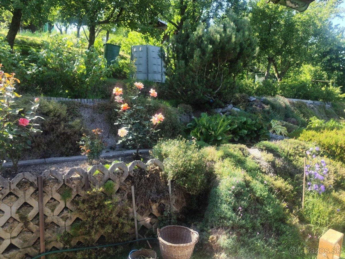 Predám záhradku s chatkou – Mojšová Lúčka I, Žilina - 14