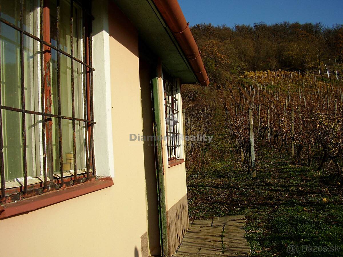 Záhradný domček s vinohradom - 14