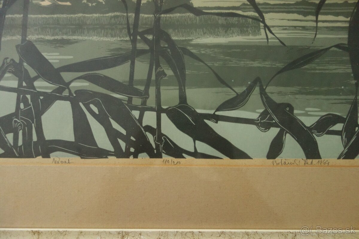 Obraz - Botanský - návrat - 14