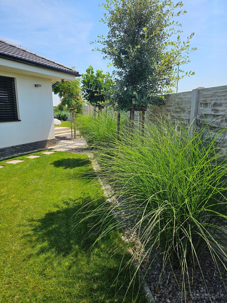 vertikutacia, rotavatorovanie, rylovanie, strihanie - 14