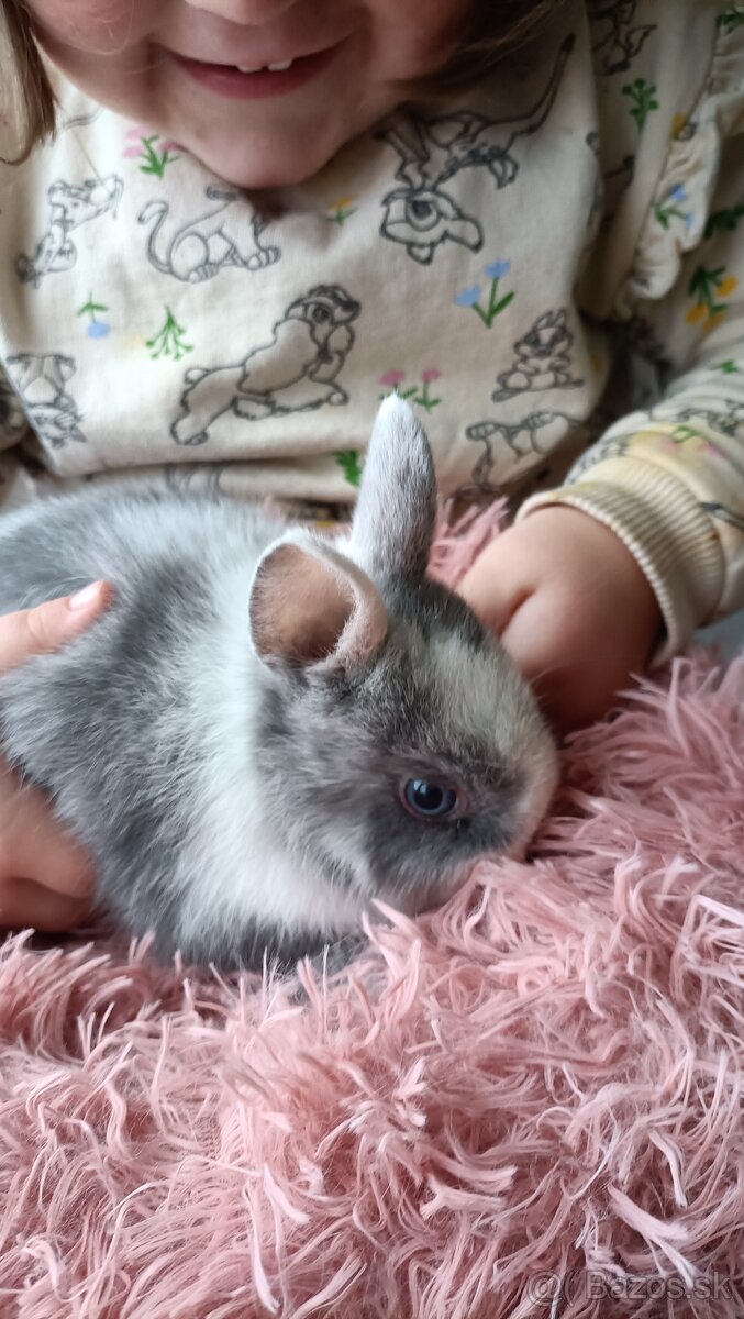 Zdrobnené kraliky - 14