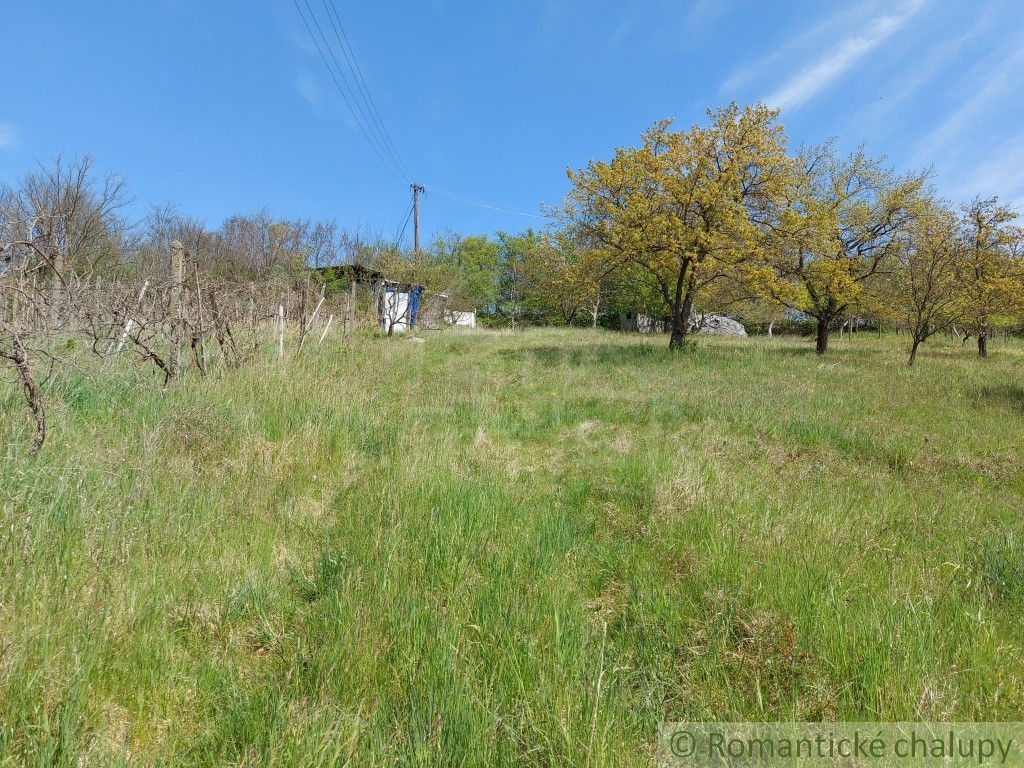 Rozľahlý pozemok na samote neďaleko prírodnej rezervácie v - 14