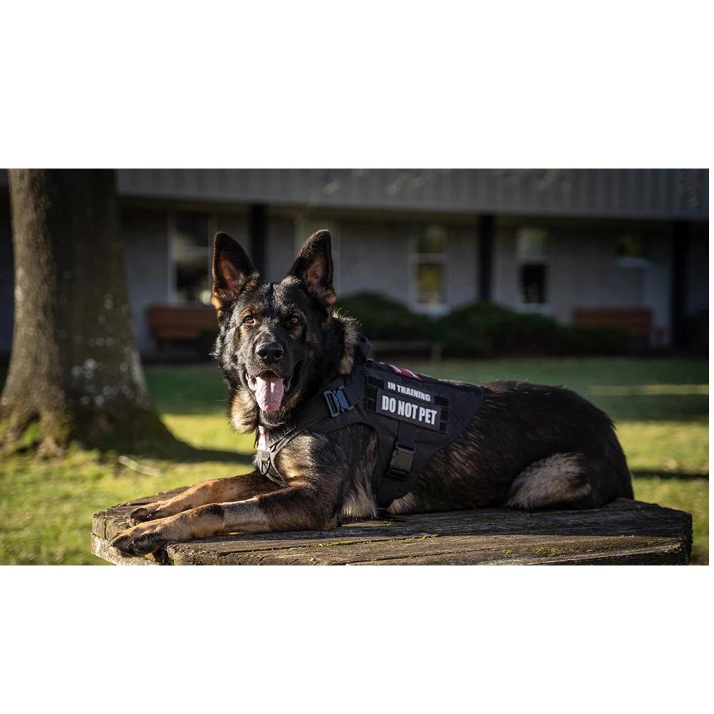 Taktický výcvikový postroj L, XL - 14