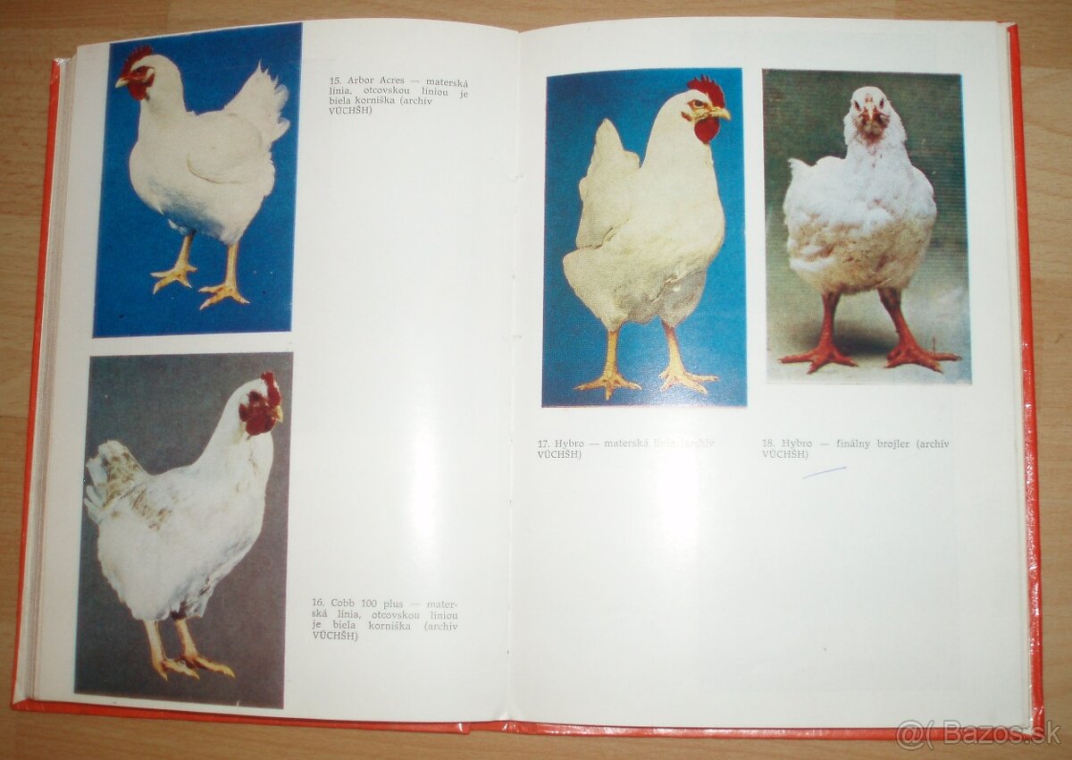 Najvýkonnejšie plemená a typy hydiny - 14
