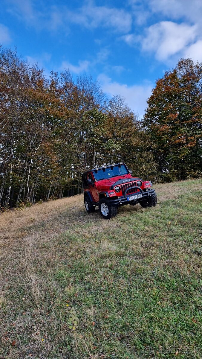 Jeep Wrangler 2.5 - 14