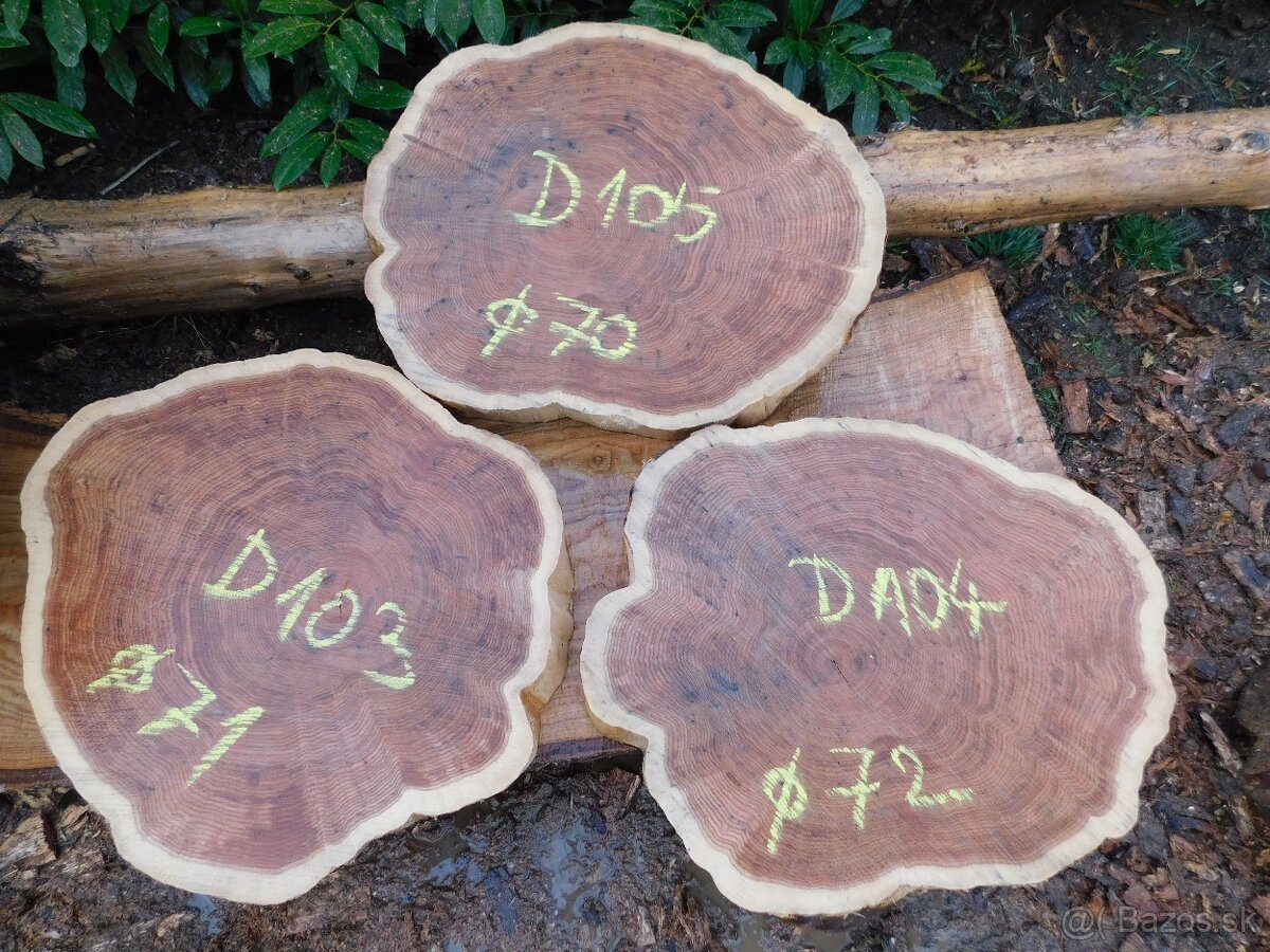 Atypické a nadrozmerné fošne a koláče, orechové drevo - 14