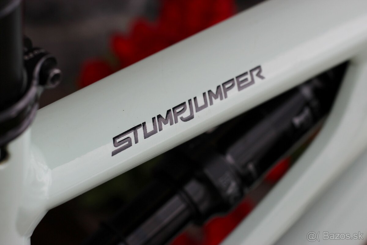 ✅ Specialized Stumpjumper 29" (2020) - M - ✅ - 14