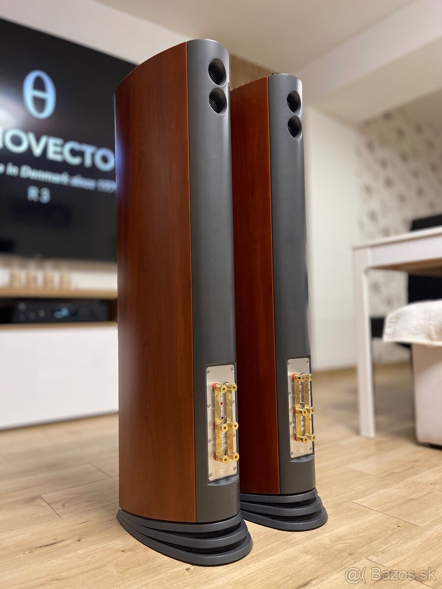 Audiovector SR3 Avantgarde - 14