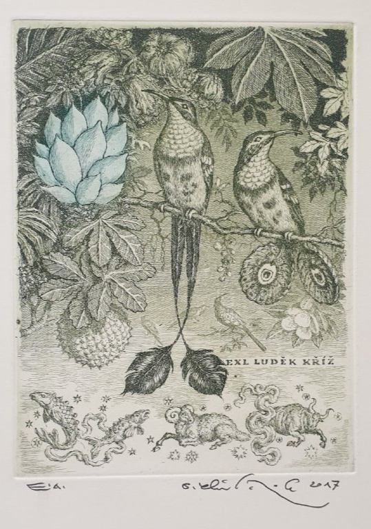 Peter Kľúčik - 14