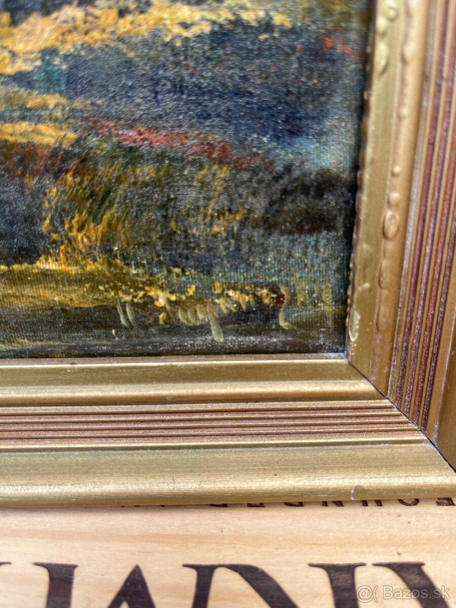 Staré obrazy - 14