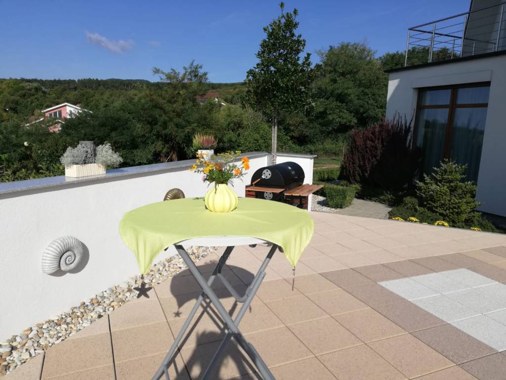 Vila s veľkým pozemkom pod lesom - 14