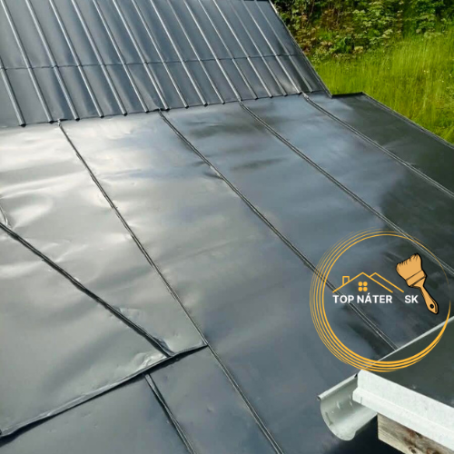 🟢✅Nátery striech✅TopNáterSK🟢Striekanie striech✅ - 14