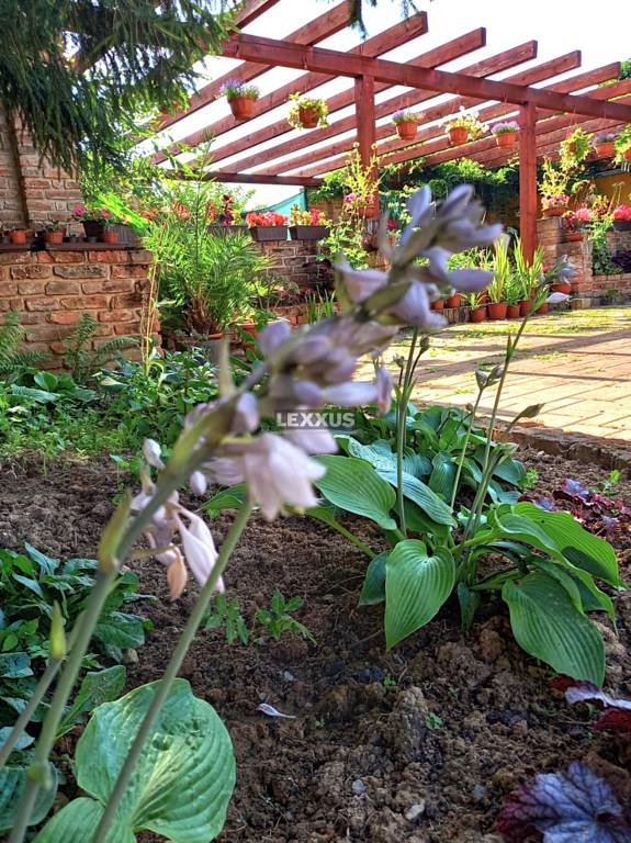 | exkluzívna vidiecka rodinná usadlosť, Lučenec. - 14