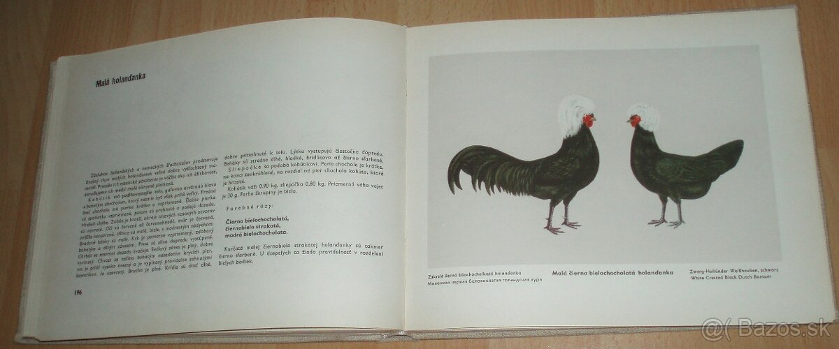 Atlas plemien hydiny - 14