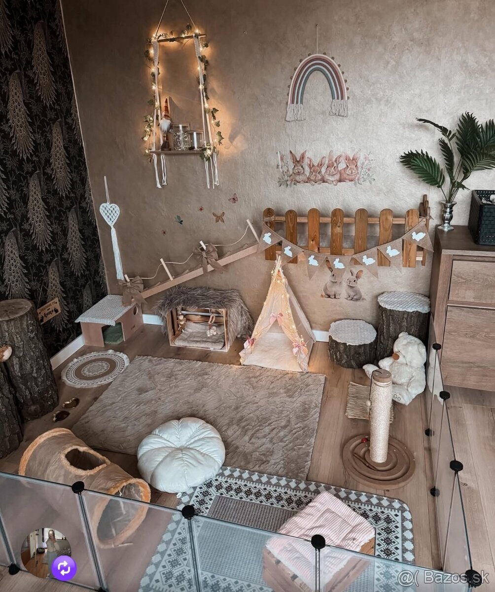 🧸 Minilop králiky🤎 - 14