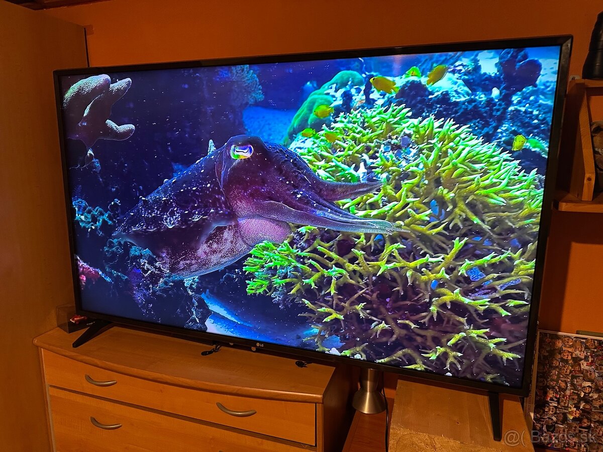 Smart TV 4K LG 55UJ6307 - 14