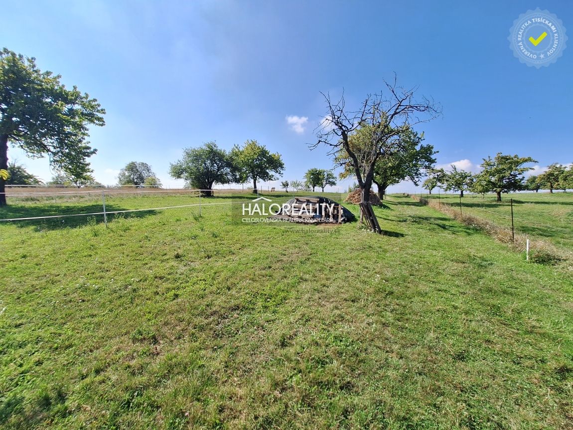 HALO reality - Predaj, rodinný dom Borová, 9.125m2 - EXKLUZÍ - 14