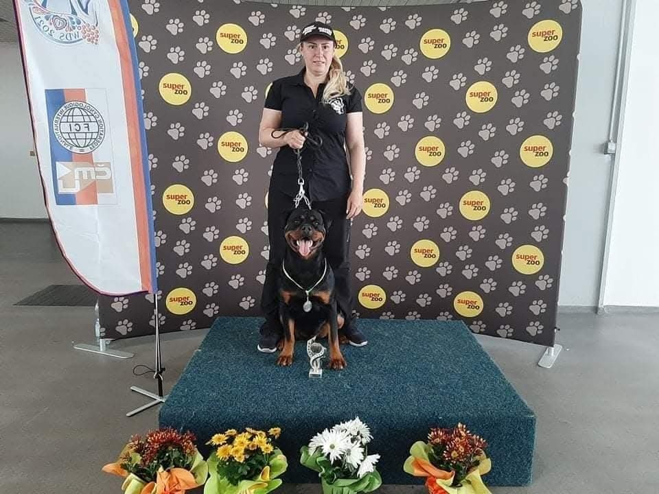 šteniatka rotvajlera - 14