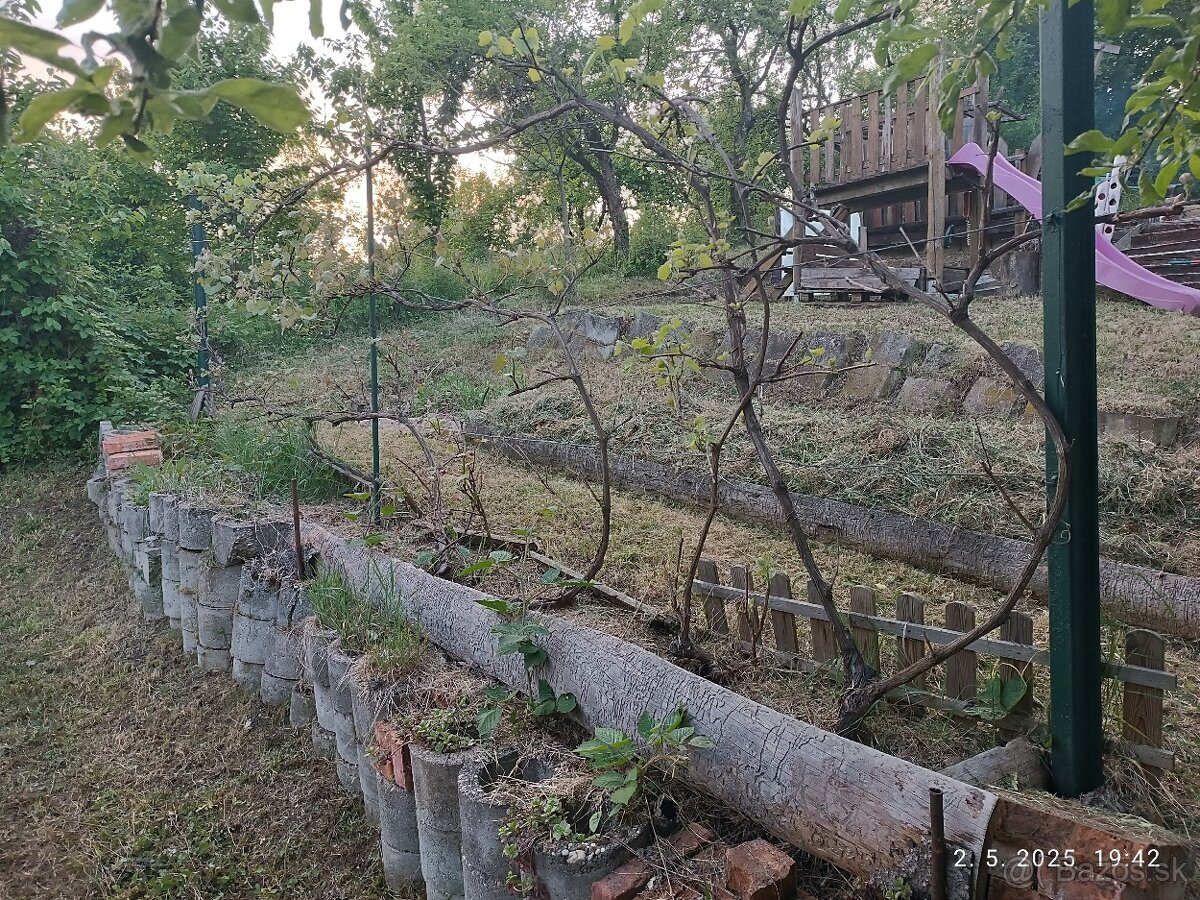 PREDÁM/VYMENÍM záhrada ,, Sad 600 - ročnica,, - 14