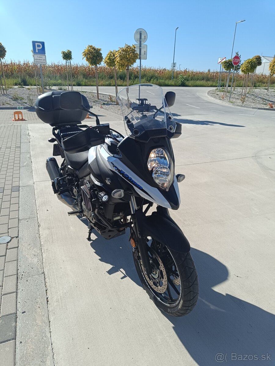 Suzuki v strom - 14