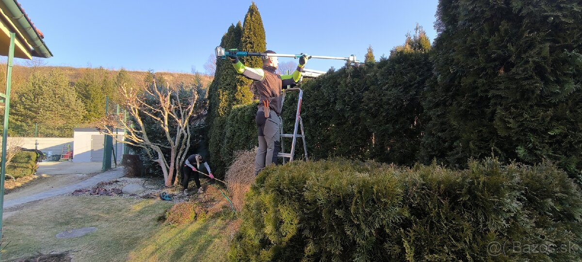 Záhrada zelená strecha rizikové rezanie stromov - 14