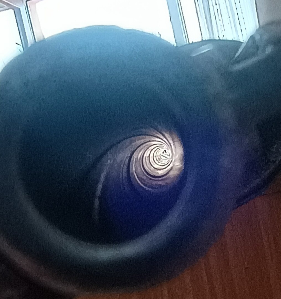 Mauser k98a 8x57js - 14