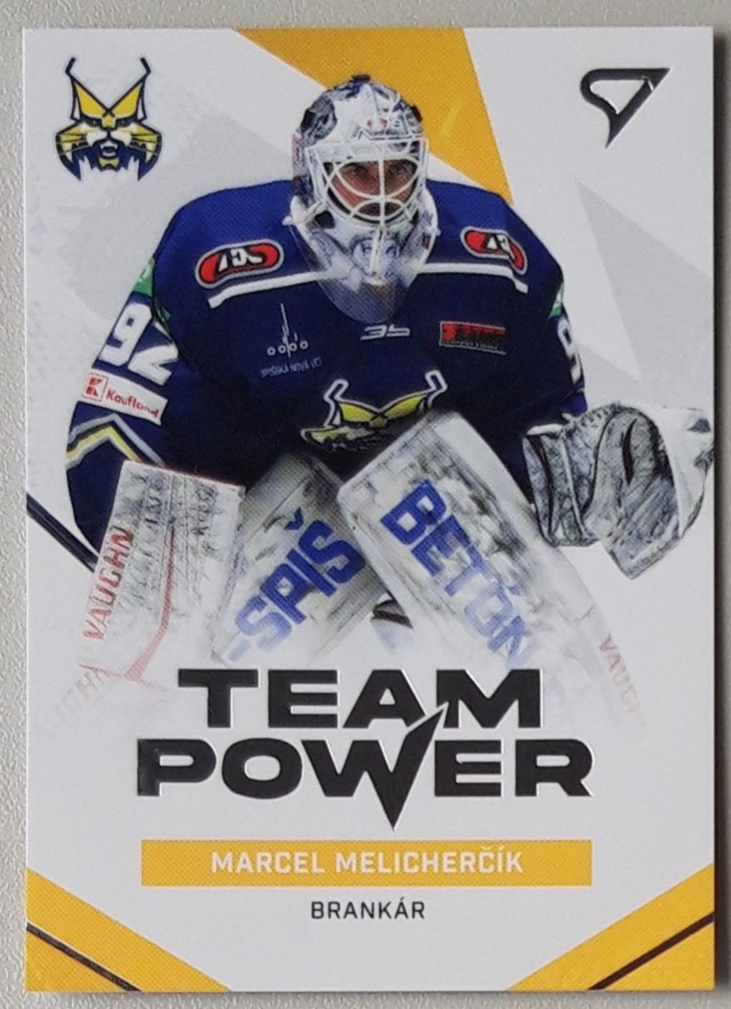 Hokejové kartičky TIPOS EXTRALIGA 24/25 HK SPIŠSKÁ NOVÁ VES - 14