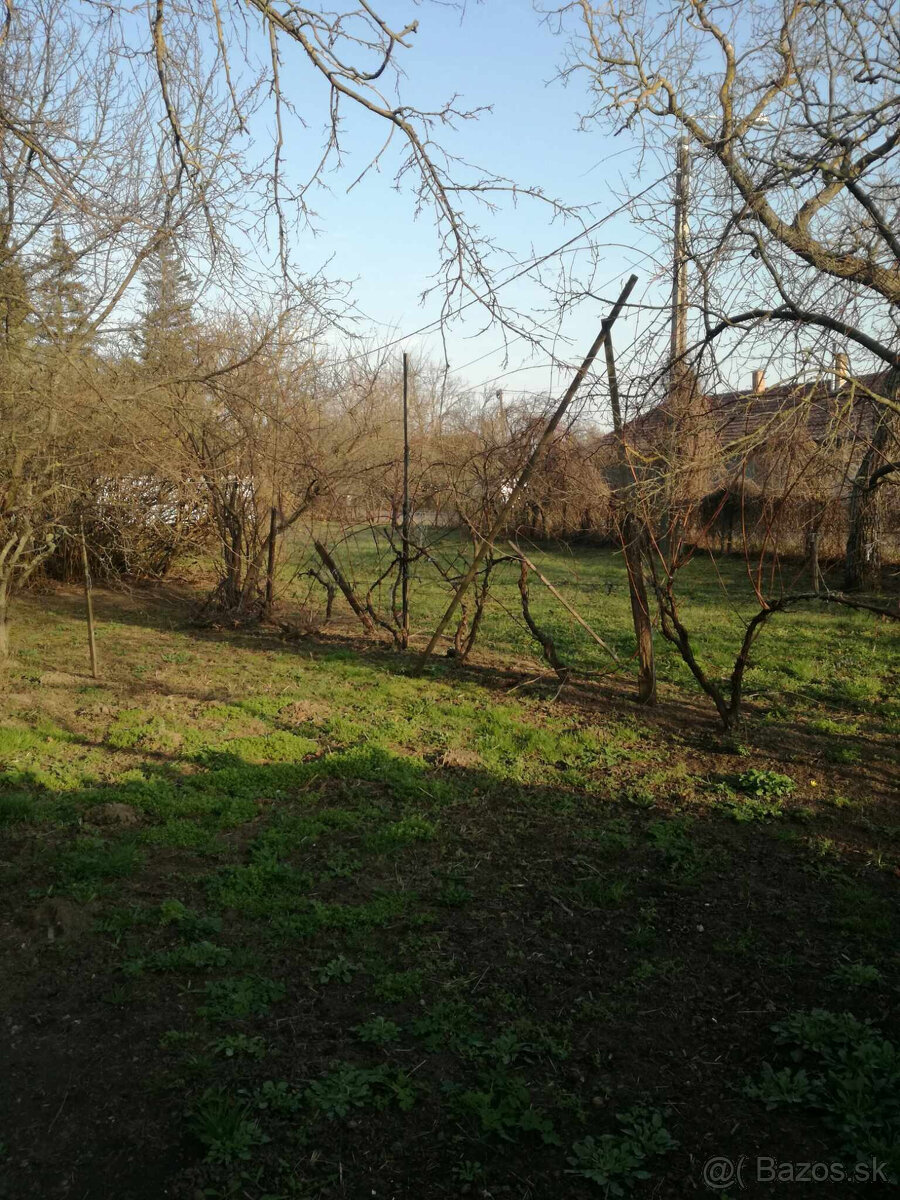 Ponúkame na predaj sedliacky dom - v obci Pácin - 14