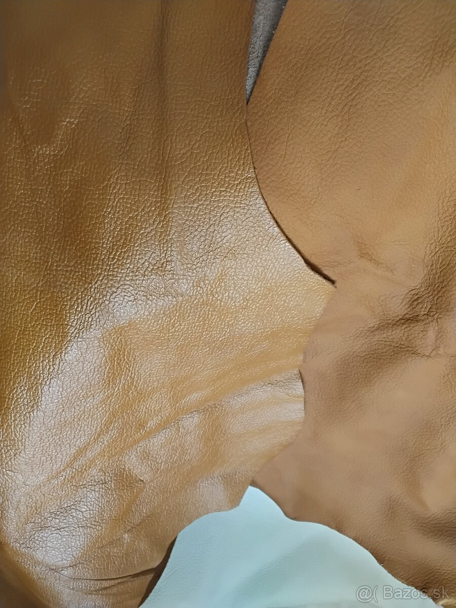 Čalunicka koža - 14