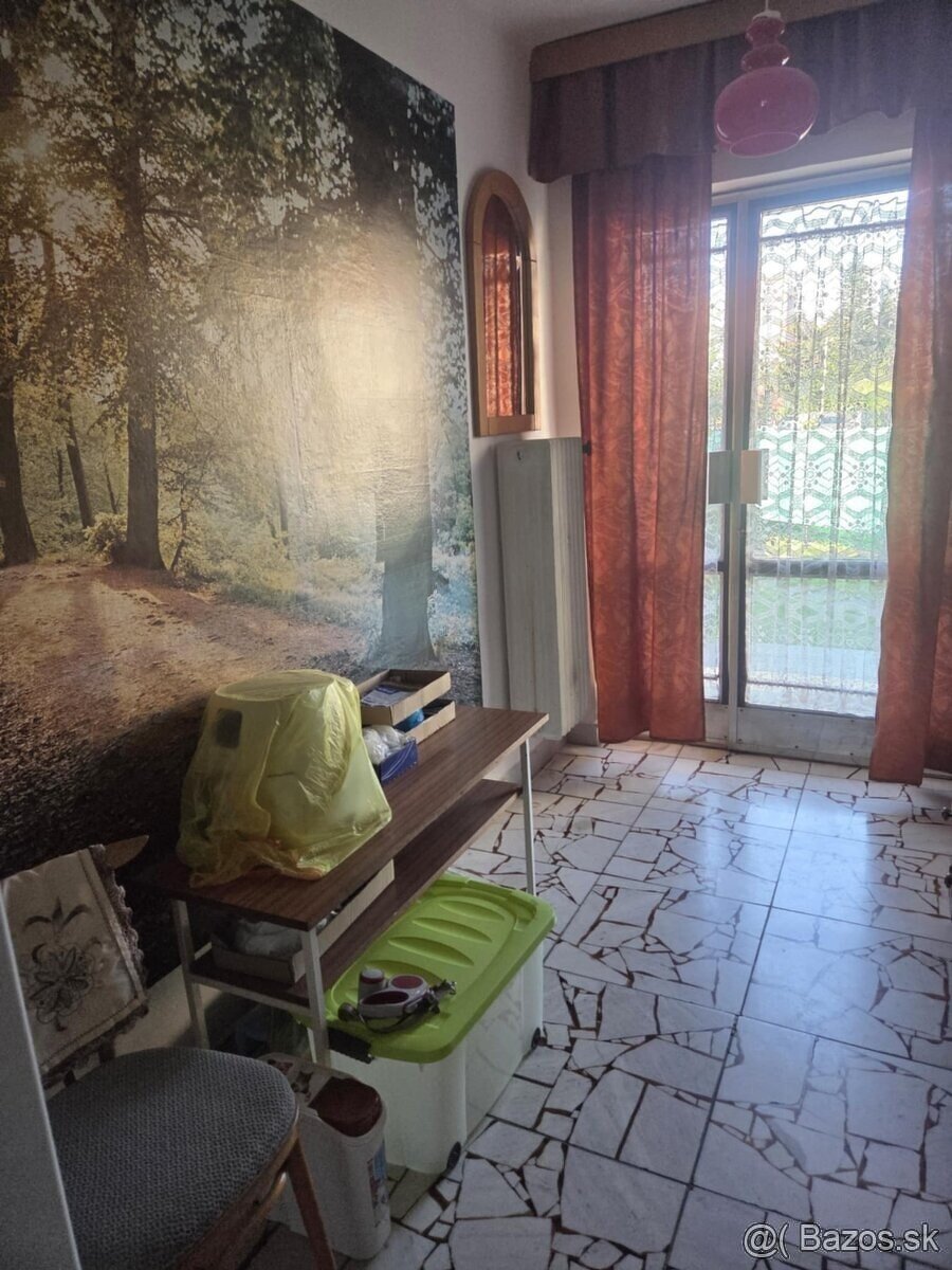 RDs veľkým pozemkom,apartmánom-ideálny pre rodinu,podnikanie - 14