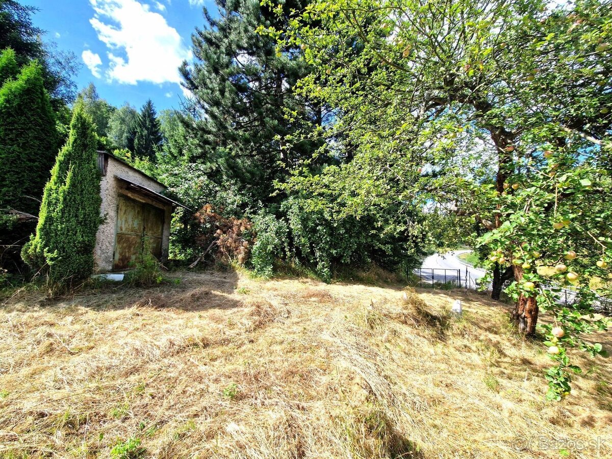 Rodinný dom s rozsiahlym pozemkom 3538 m2 - Kremnica - 14