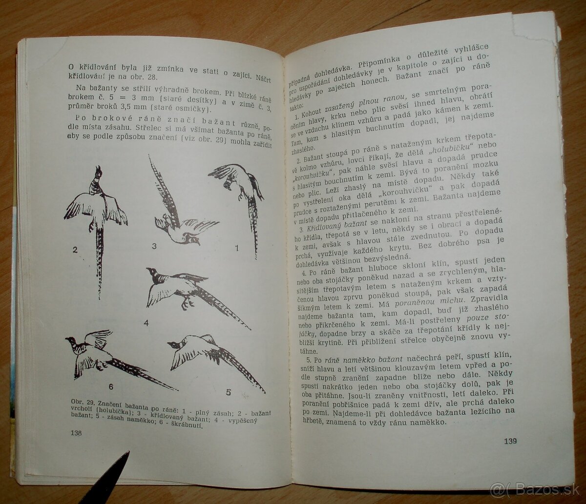 Lovecké praktikum - 14