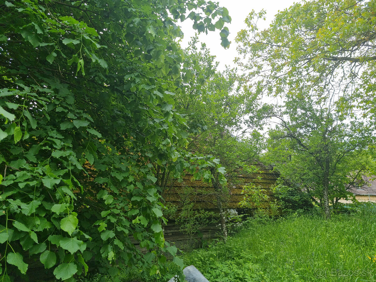 DOM, STODOLA a POZEMKY 4312 m2 STAROTURANSKÉ KOPANICE NMNV - 14