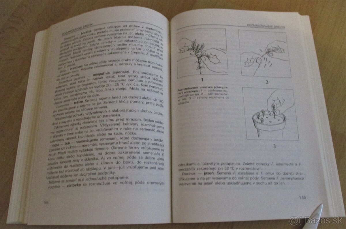 Vrúbľovanie, očkovanie, rozmnožovanie - 14