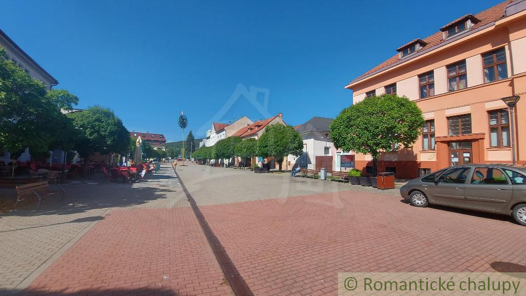 Malý domček pod lesom v mestečku Brezová pod Bradlom okr. - 14