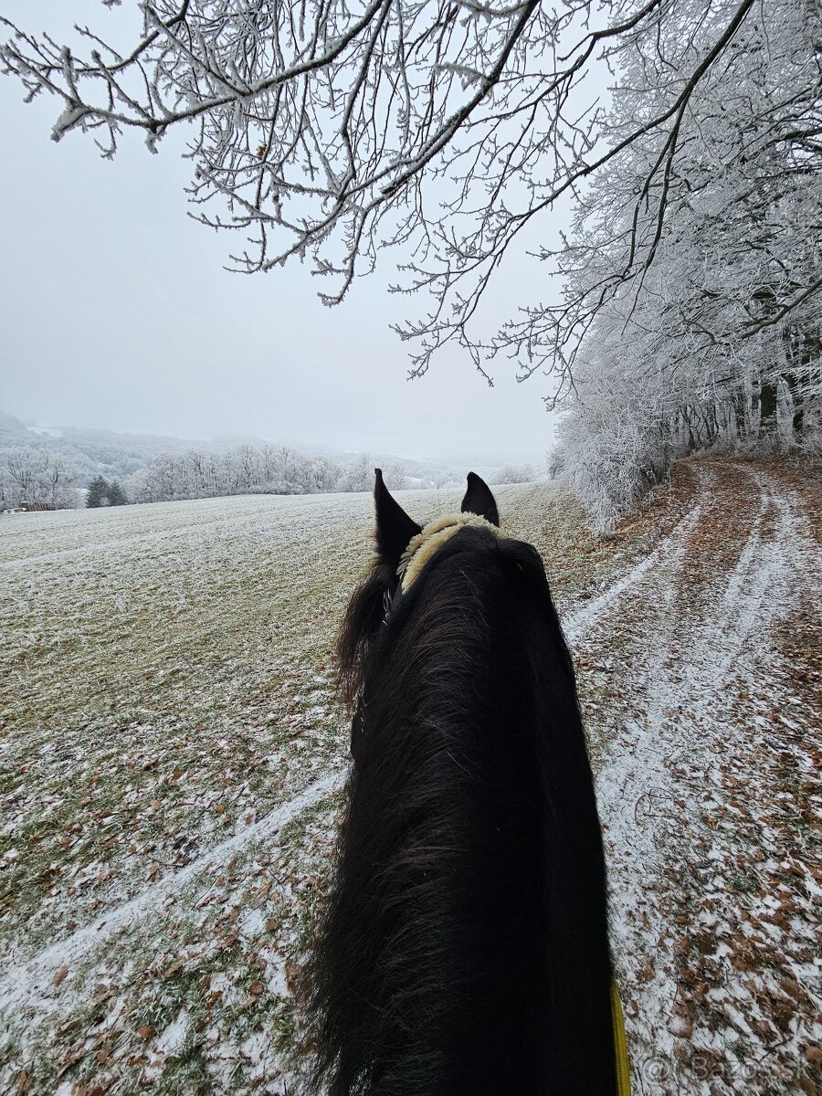 ustajnenie koni, vychadzky vodenie pre deti - 14