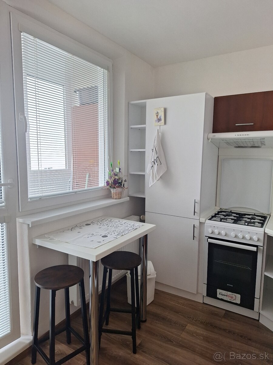 Prenájom 1 izbového bytu - 14