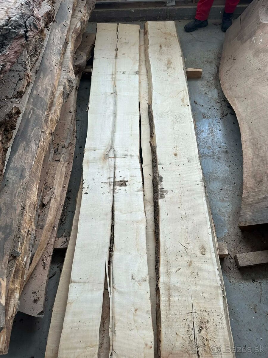 Vysušené javorové fošne, javor horský - 14