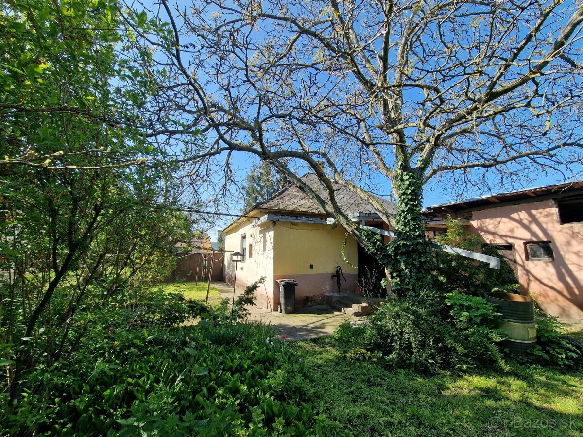 Pozemok o výmere 4543 m2 so starším RD na predaj - 14